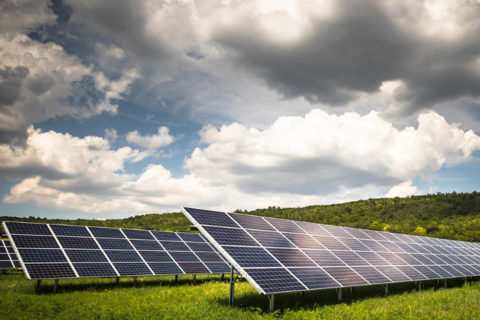 solar pannels