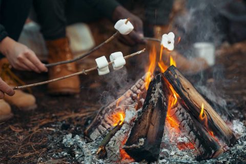 campfire roasting marshmallows