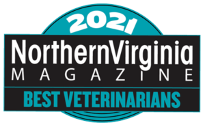 2021 Best vets badge teal