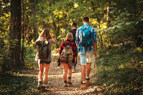 group of people hiking
