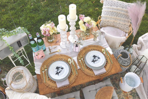 picnic