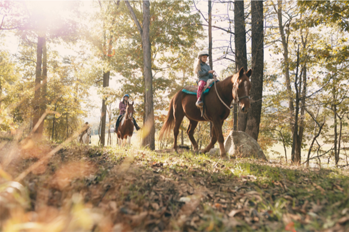 family on horses