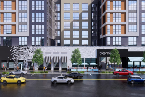 bloomies concept