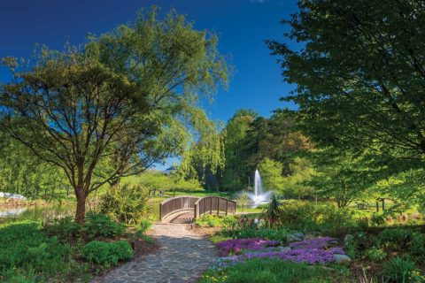 meadowlark gardens