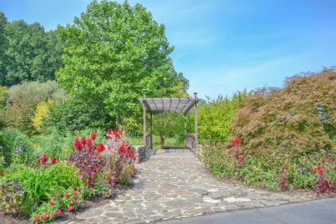 flower garden