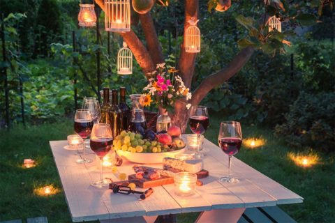wine dinner outdoors