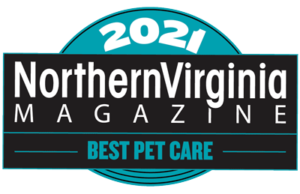 2021 best pet care badge teal