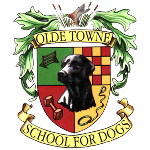 Old Towne School for Dogs