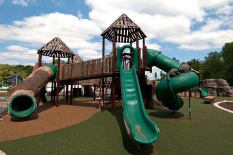 Chessie's playground