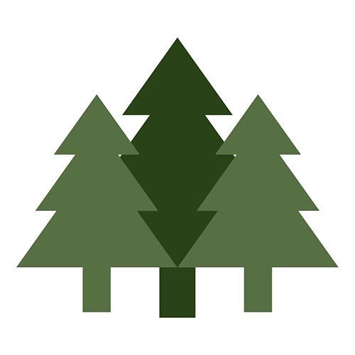 Camp Pinecrest at Pinecrest School