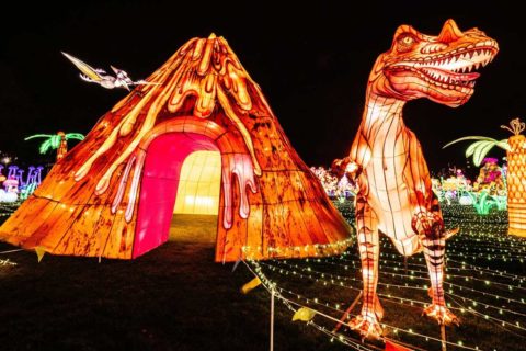 luminocity light display