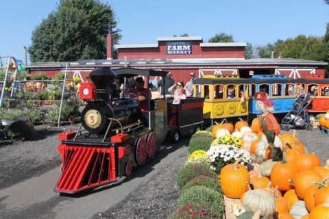 Reston Garden Fall festival