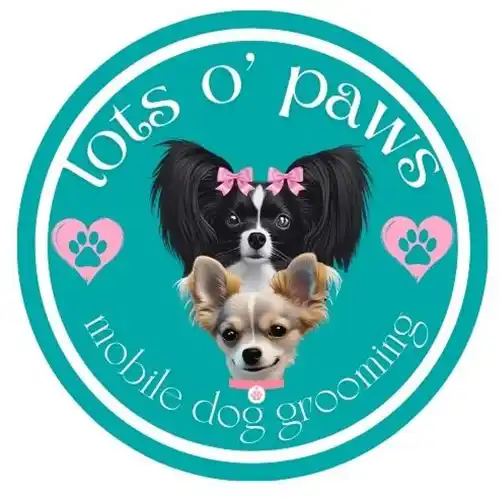 Lots O’ Paws Dog Grooming