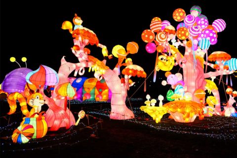 luminocity lights display