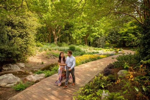 couple wlaking through garden