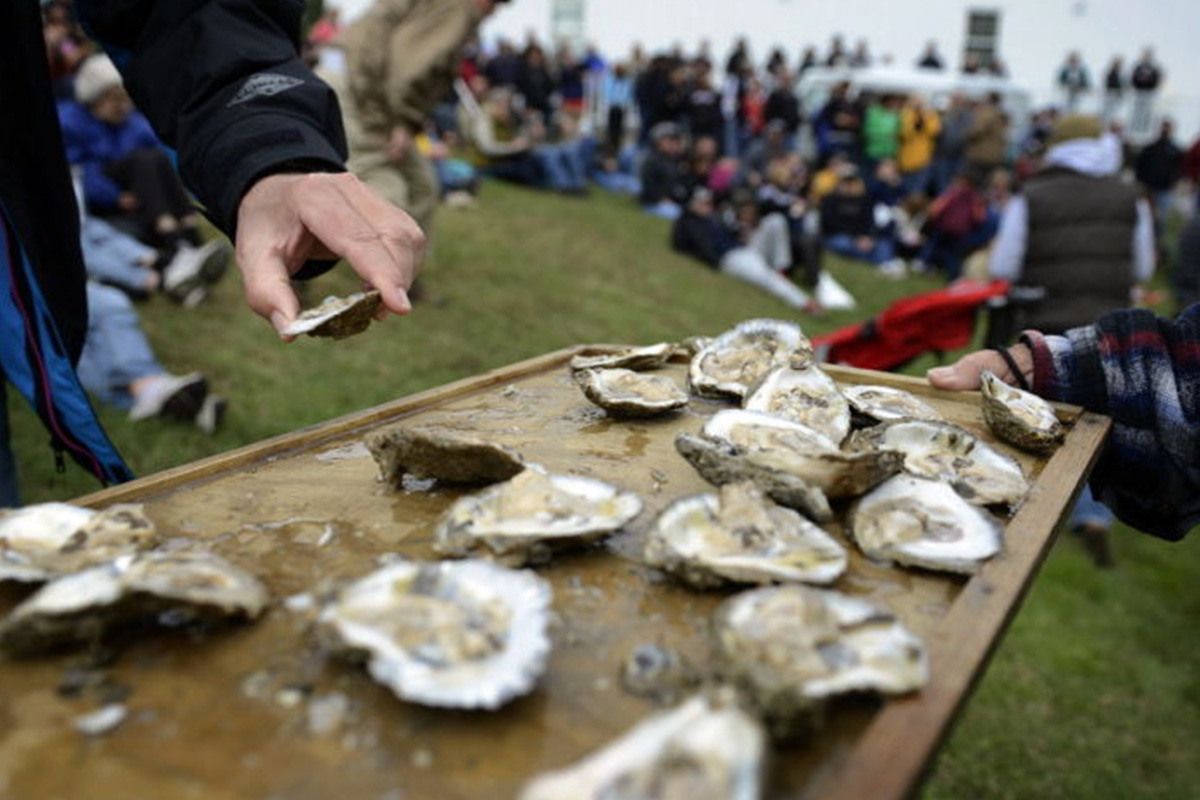 people eating oysters