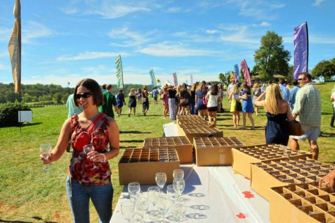 wine festival