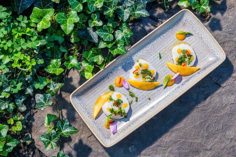 The 50 Best Restaurants In Northern Virginia Of 2021