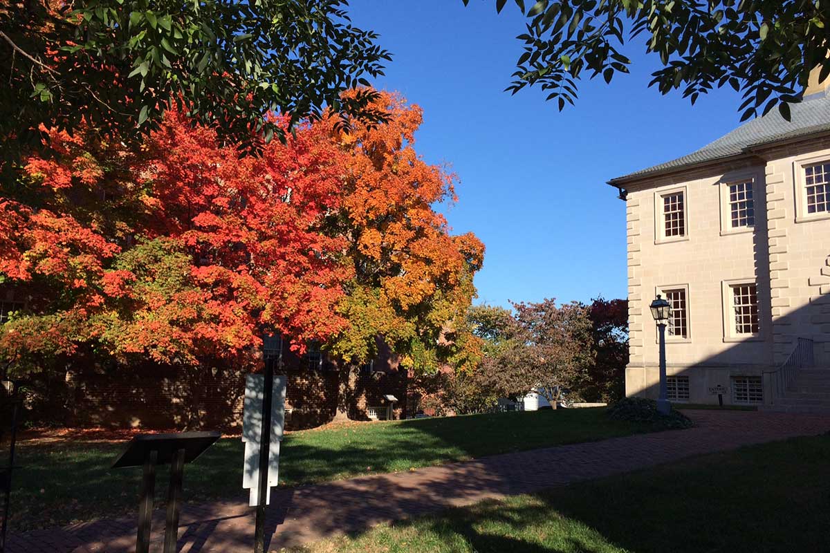 carlyle house during fall