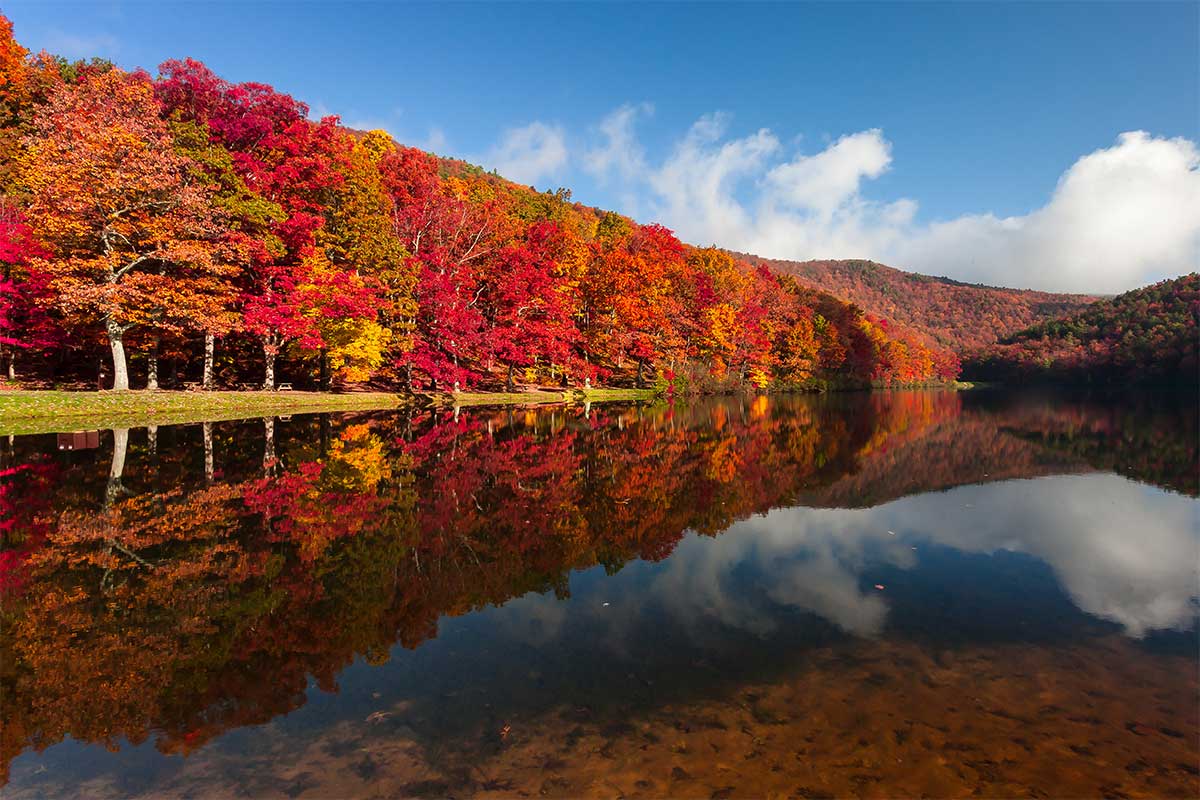 fall foliage along the lake