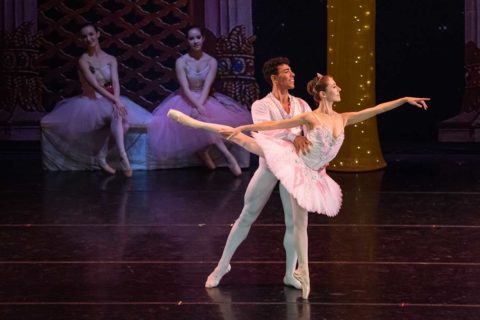 the nutcracker