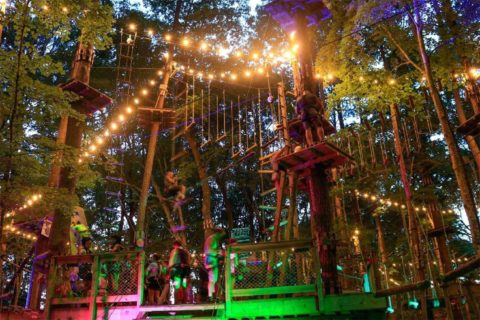 glow in the park