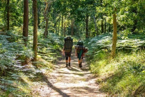two people hiking in wood