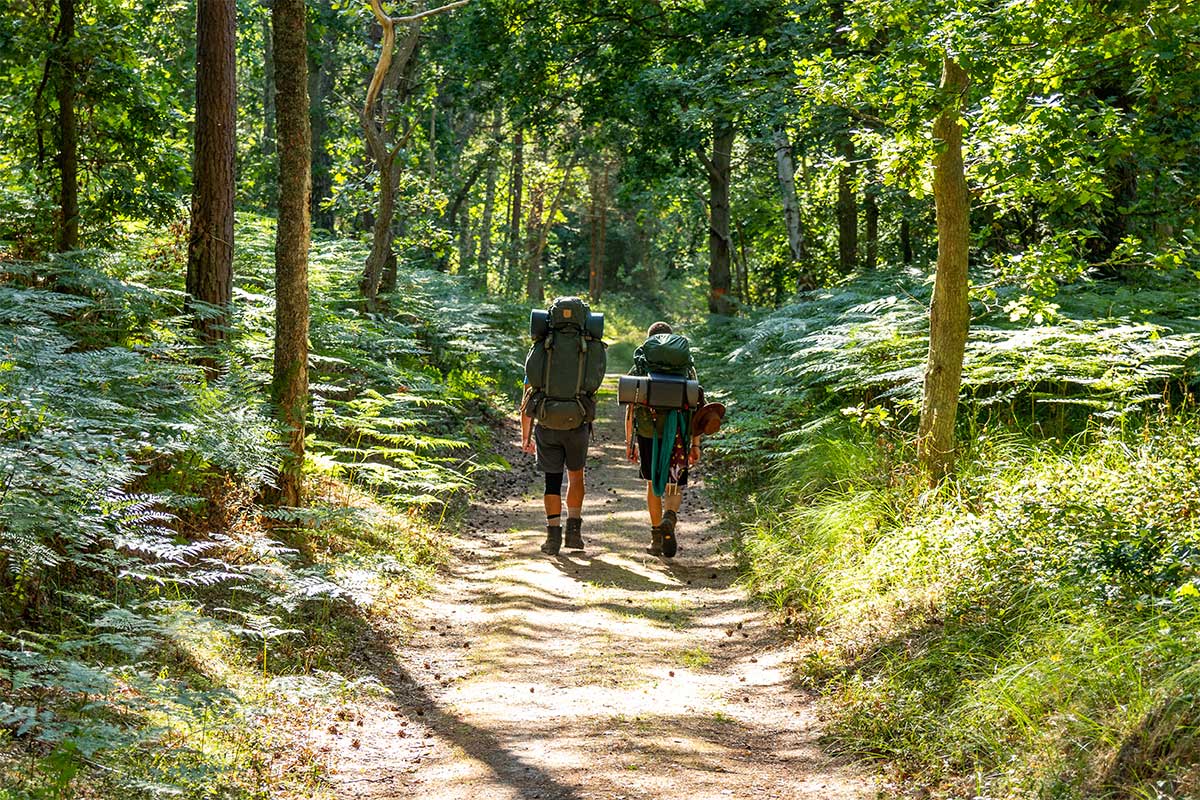 two people hiking in wood