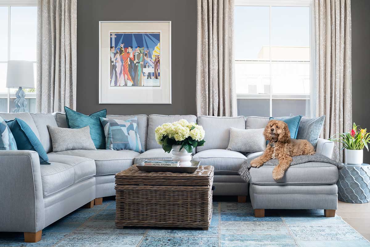 living room with dog on couch