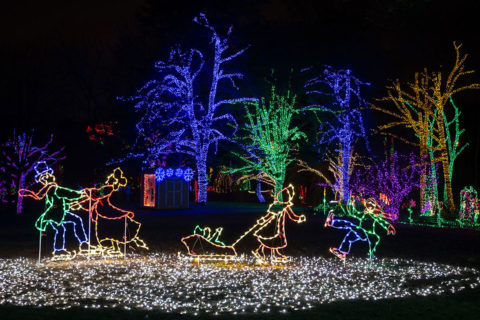meadowlark gardens light display