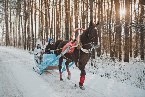 sleigh ride