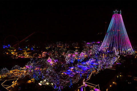 winterfest light display