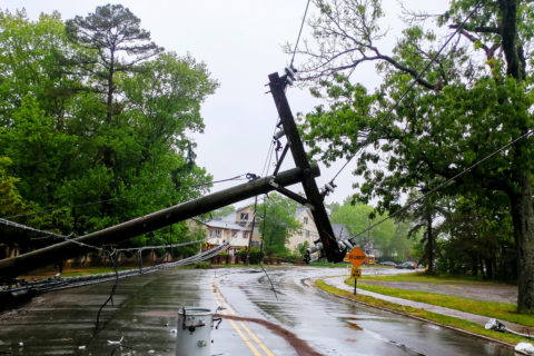 transformer on a electric poles and a tree laying across power lines over a road after Hurricane