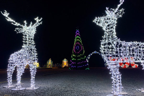 bull run festival of lights