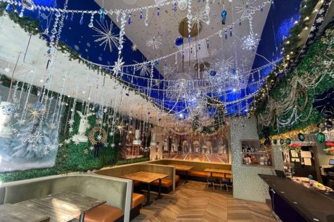 Maxwell park dc holiday popup bar