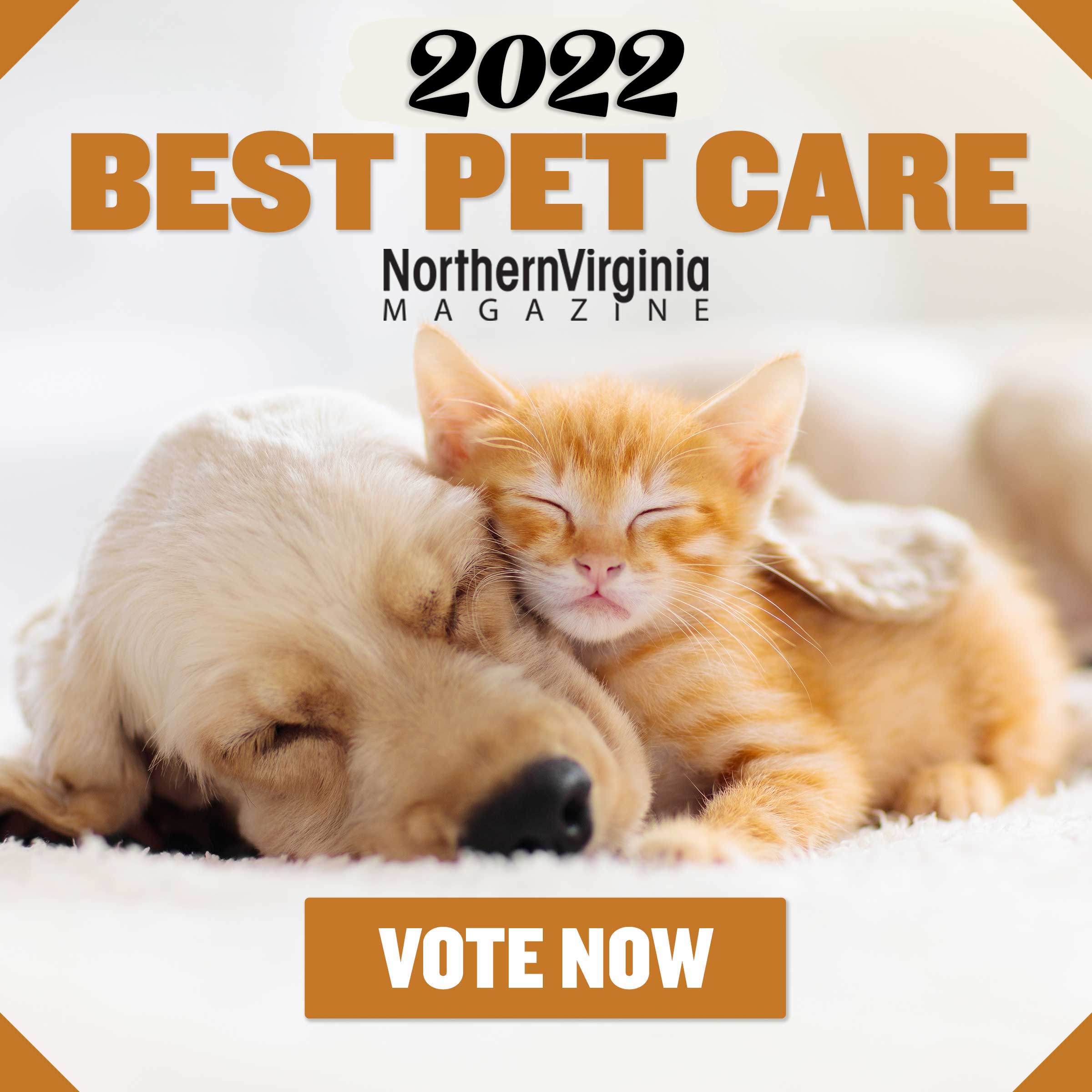 German Christmas Market Reston 2022 This Authentic German Christmas Celebration In Herndon Is Attracting  Thousands Of Visitors