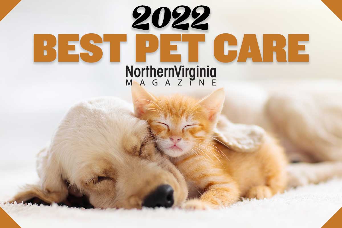 2022 best pet care