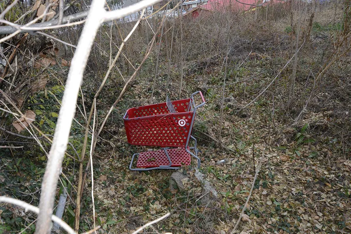 ‘Shopping Cart Killer’ Sentenced for Murdering 2 Virginia Women