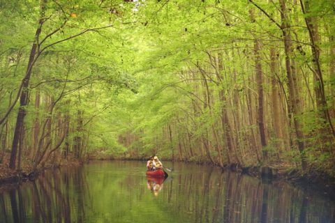 kayaking