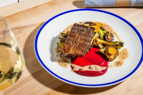 Salt Line Rockfish