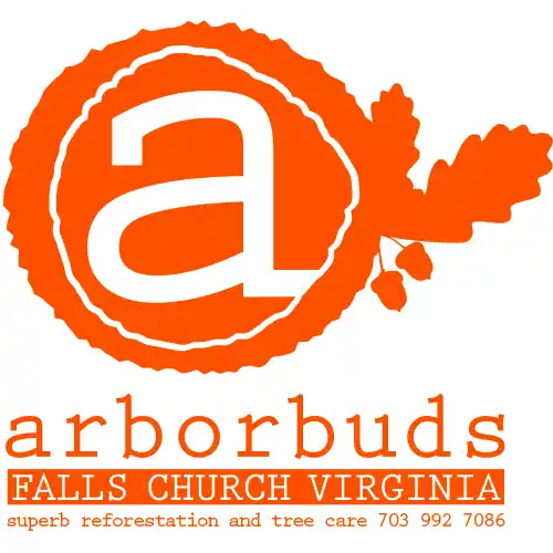Arborbuds