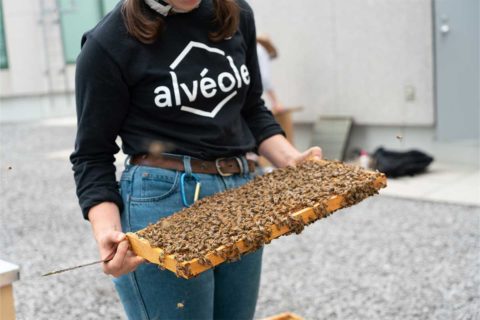 beehive