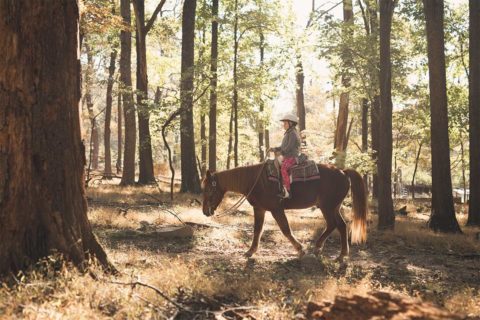 girl on horse