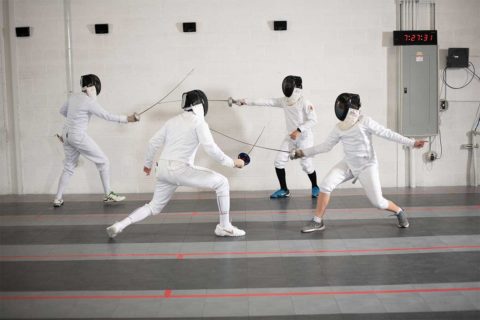 fencing