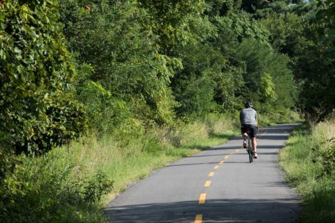 washington and old dominion trail