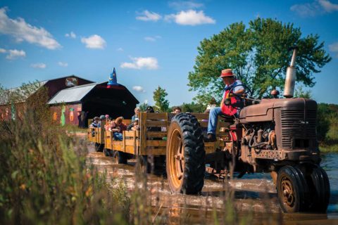 cox farms tractor