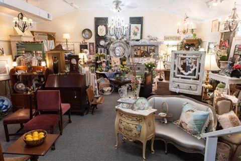 Vintage magnolia