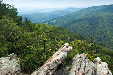 hardy country west virginia