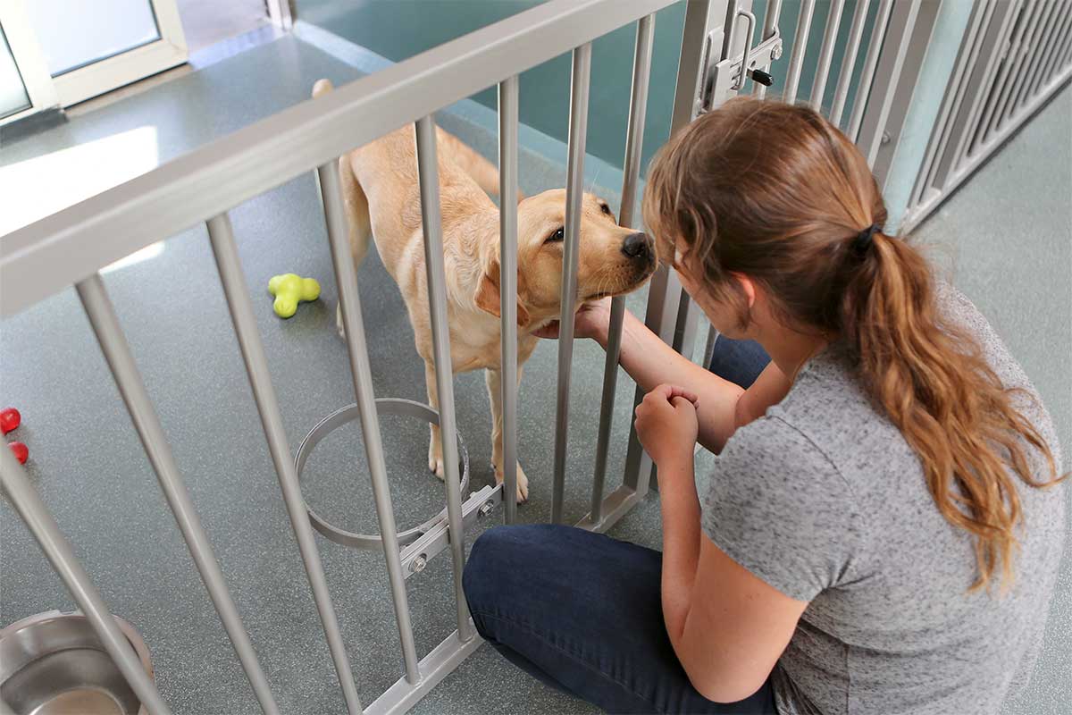 woman petting dog in kennel