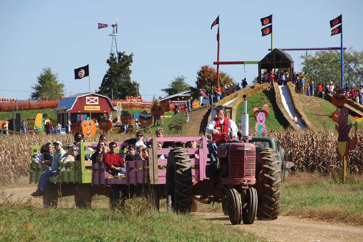 tractor pulling hayride at cox farms
